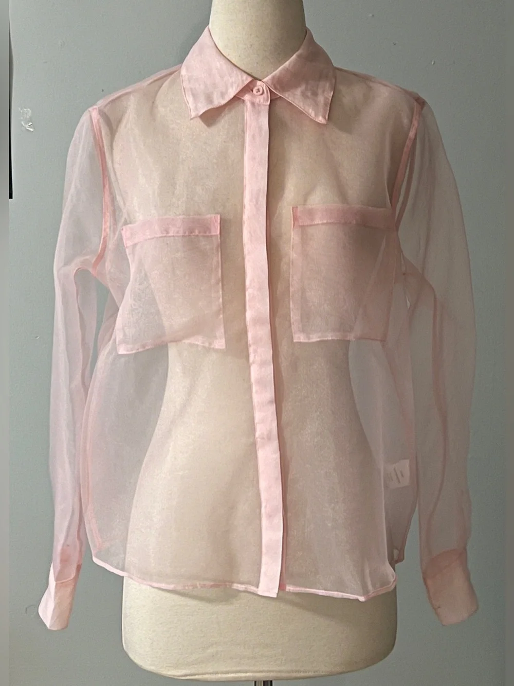 Rachel Zoe Sheer Pink Organza Button Front Blouse Size Small - Picture 2 of 10